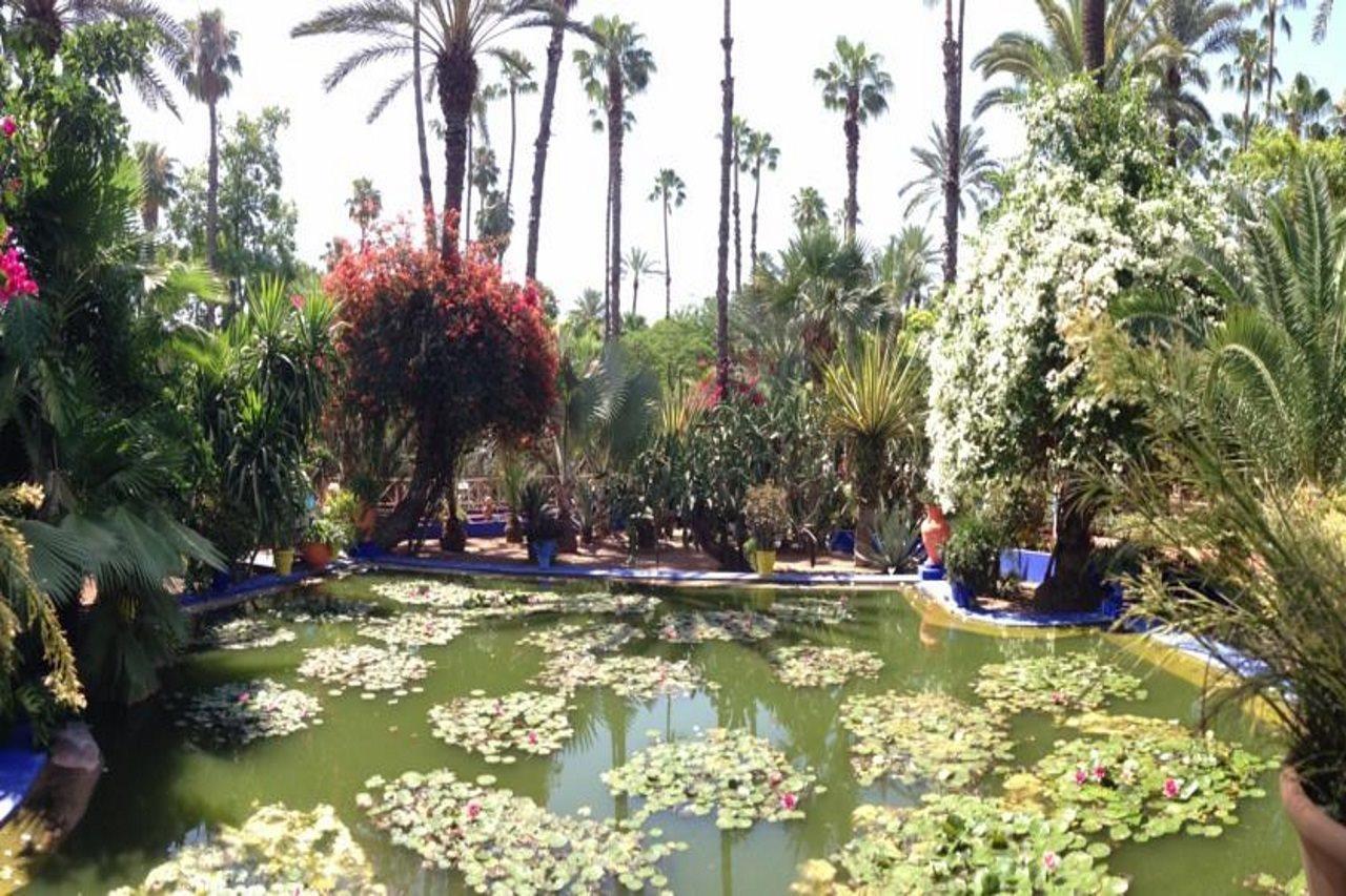 Riad Villa Harmonie Marrakesh Luaran gambar